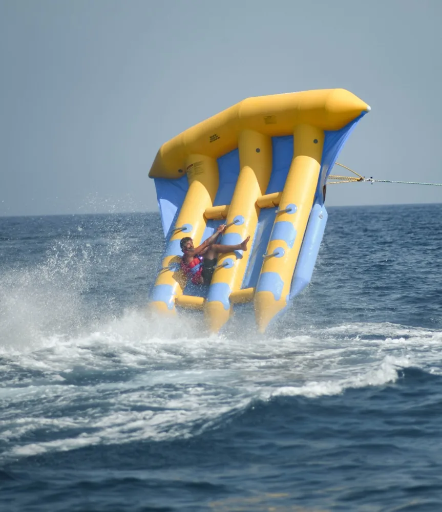 Flyfish