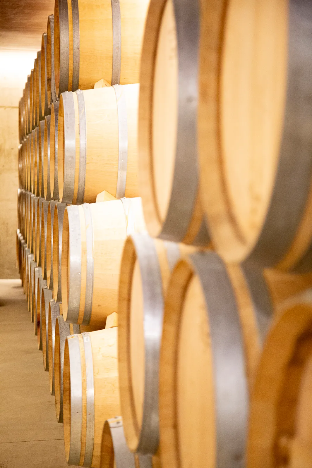 Top Wines