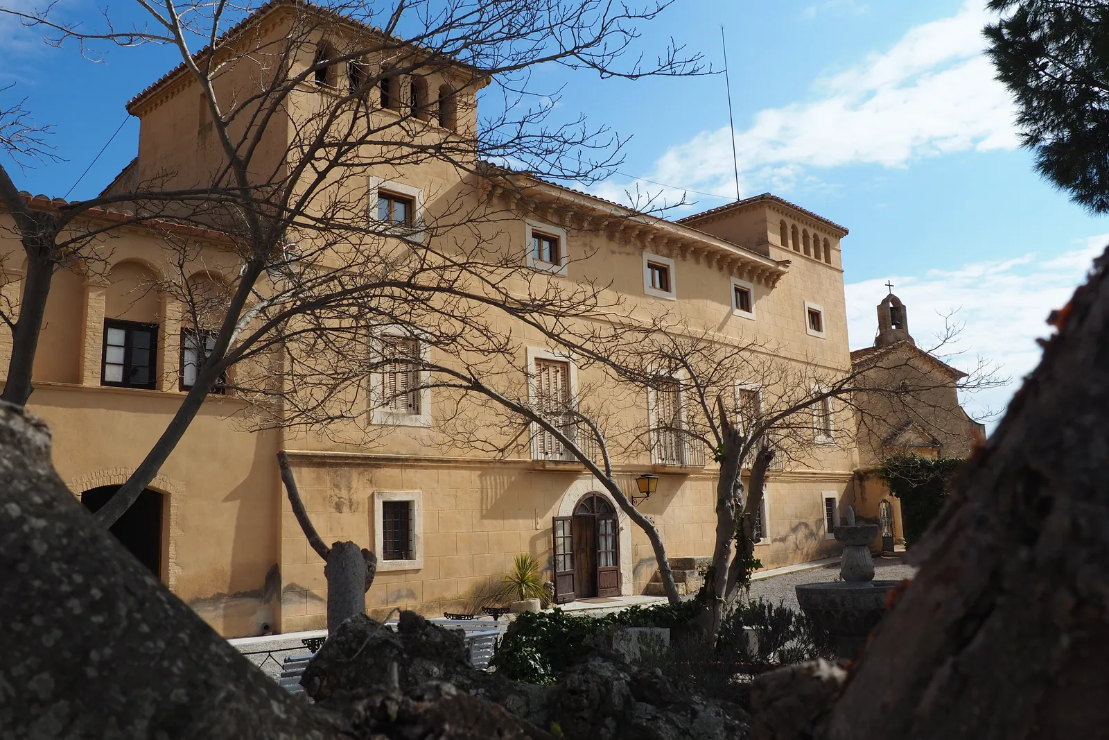 Visita tradicional: viñas, bodega y cata de cuatro vinos ecológicos