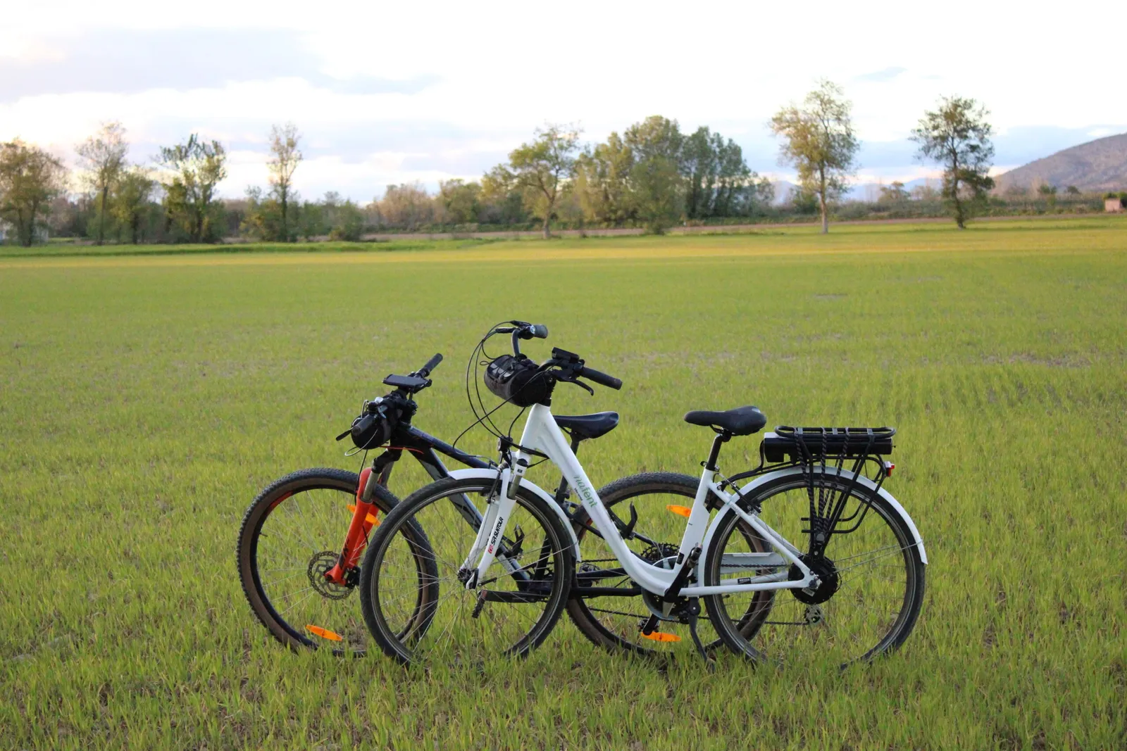Electric bike rental in Pals