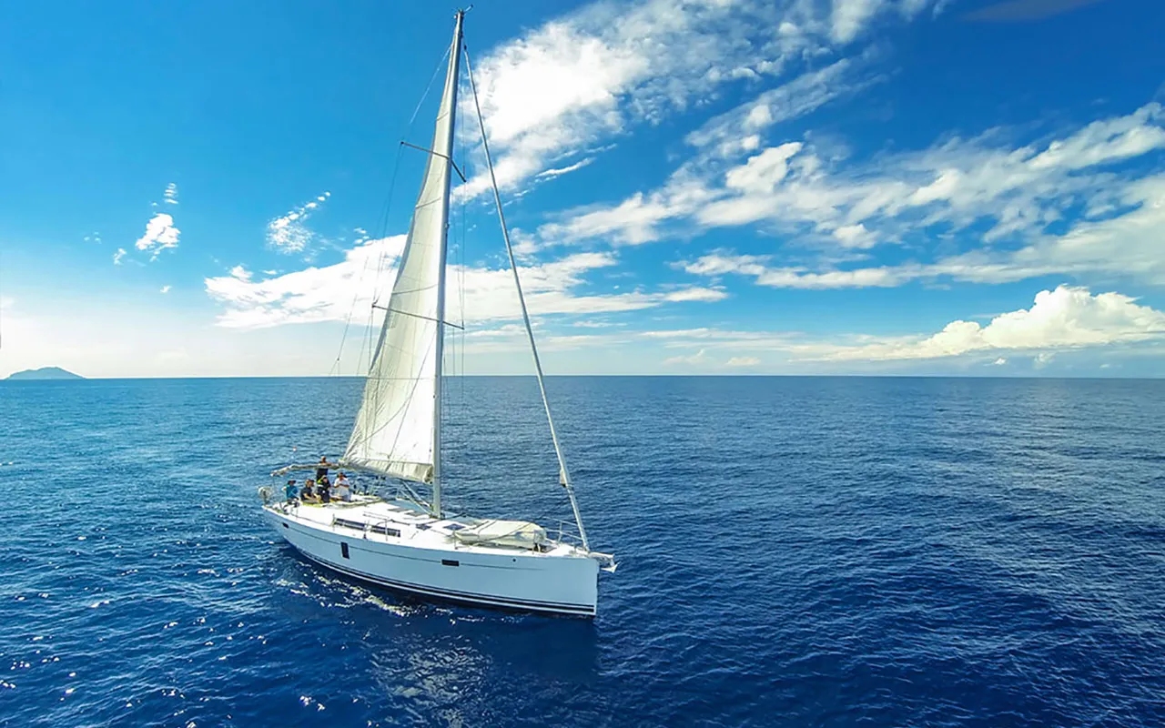 Avvistamento di balene e delfini in barca a vela esclusiva con bagno e snorkeling (3 ore)