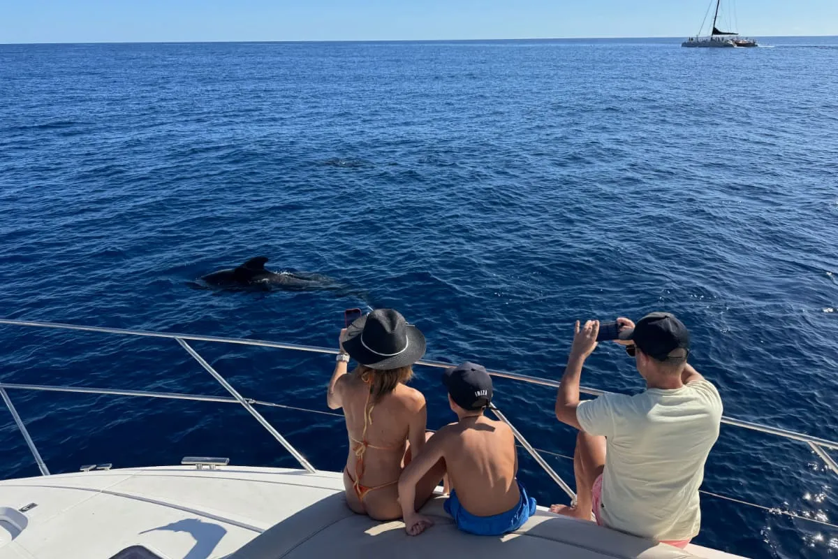 Avvistamento di balene in yacht condiviso con bagno e tapas