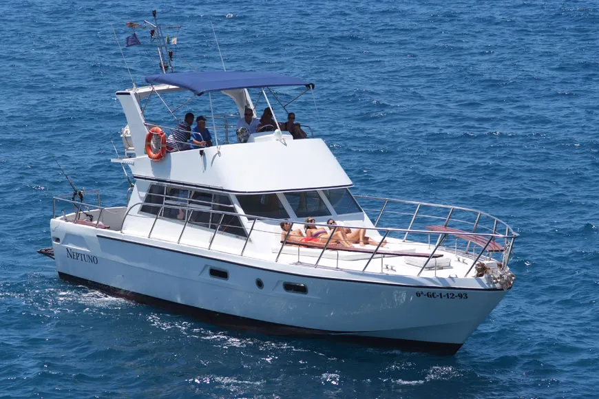 Balene e delfini in yacht con pranzo e bagno da Los Cristianos (3 ore)