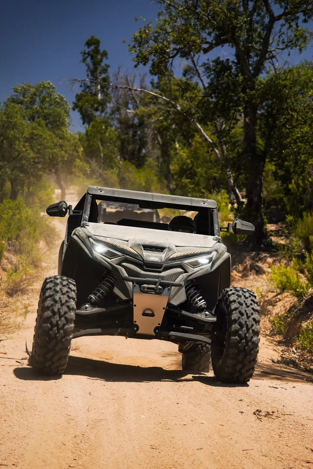 The Forest Elite Run (Buggy)