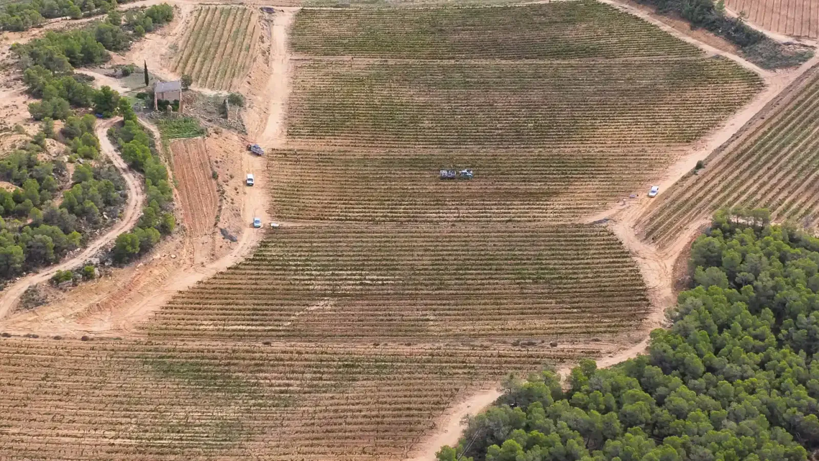 Casco antiguo de Batea, bodega y comida maridaje