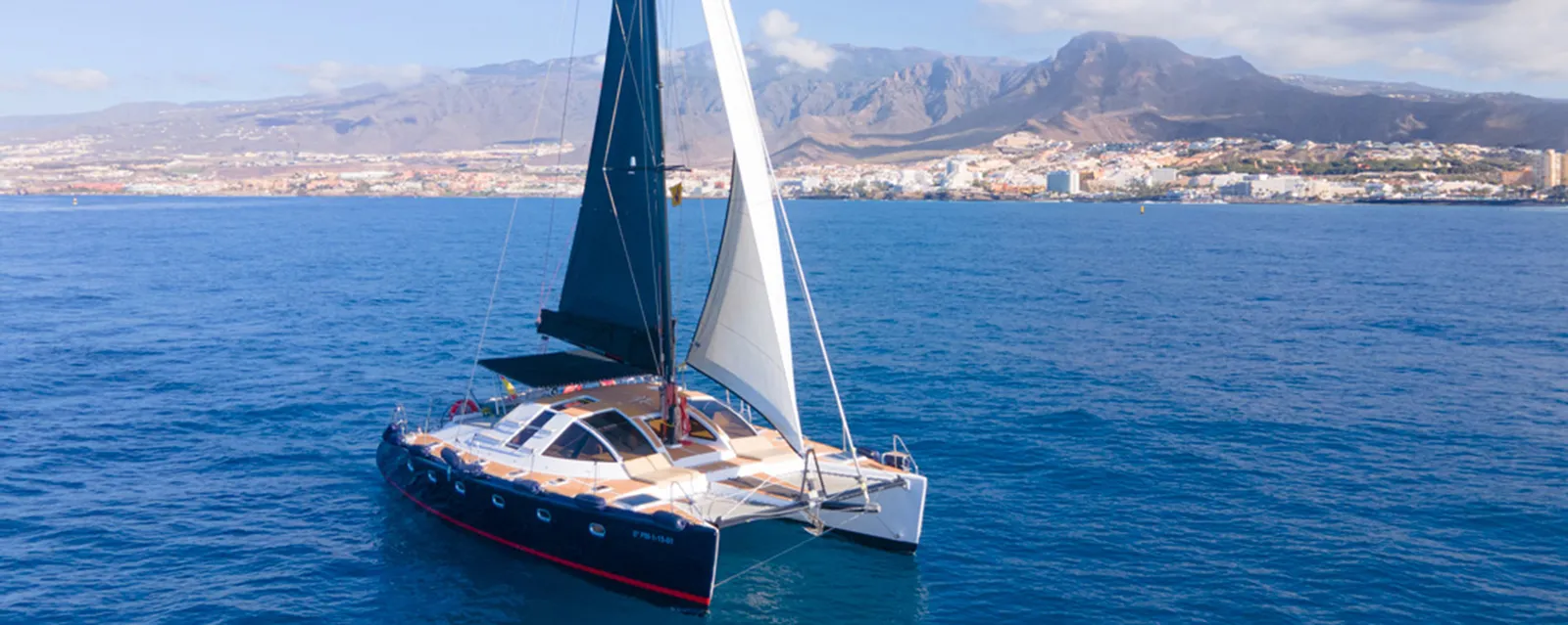 Ballenas y delfines en catamarán chill out con suelo de cristal, solo adultos (3 horas)