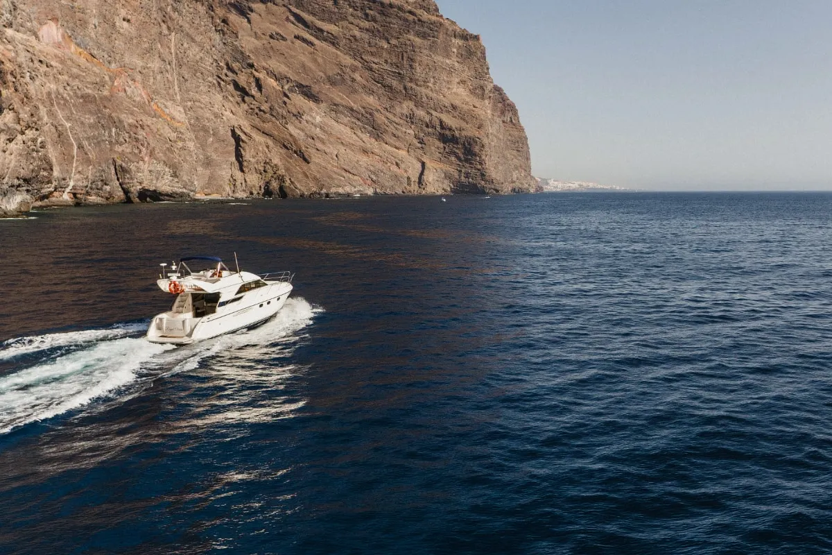 Yacht de luxe privé 3 heures avec baleines et baignade à Tenerife