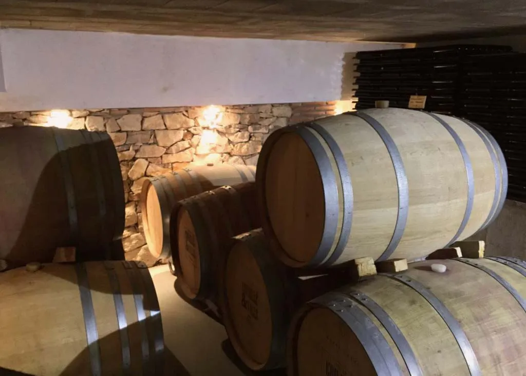 Visita a una bodega familiar del Priorat con cata de 4 vinos en Poboleda