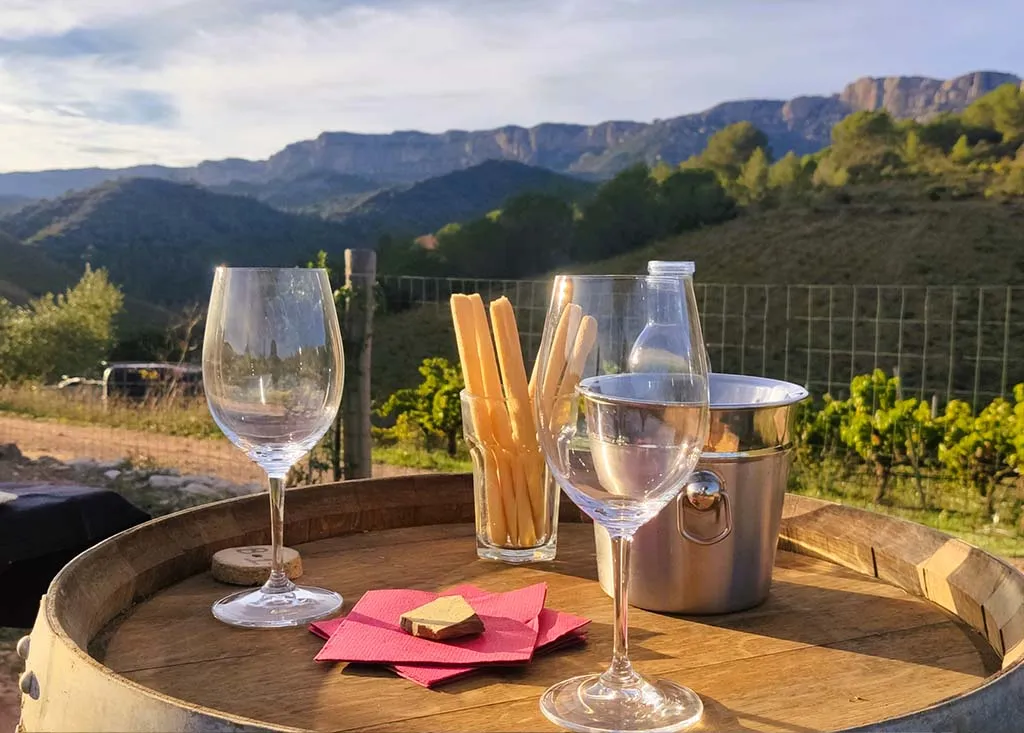 Visita a una cantina familiare del Priorat e ai suoi vigneti con degustazione di 4 vini