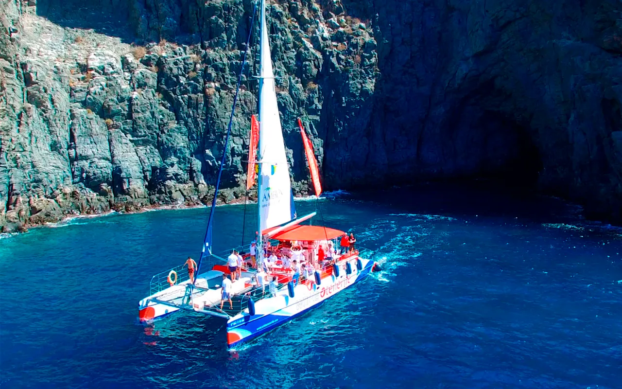 Los Gigantes e baia di Masca in eco catamarano, con balene, delfini e pranzo (5 ore)