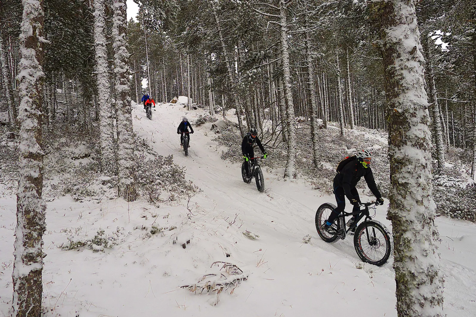 Guided fat bike or e-fatbike snow ride in the Cerdanya