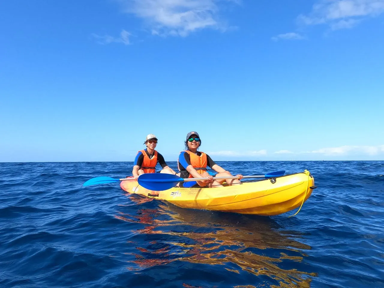 Tour en kayak con delfines y tortugas
