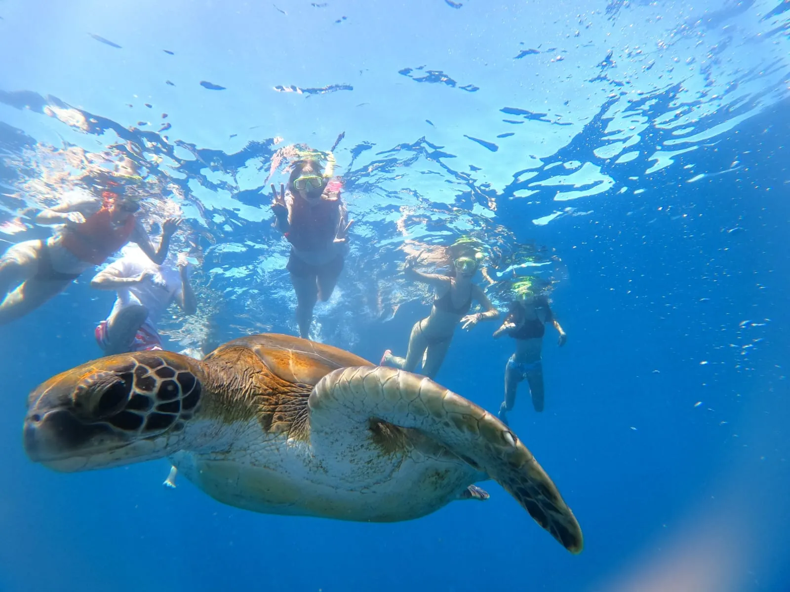 Tour en kayak con snorkel en PalmMar