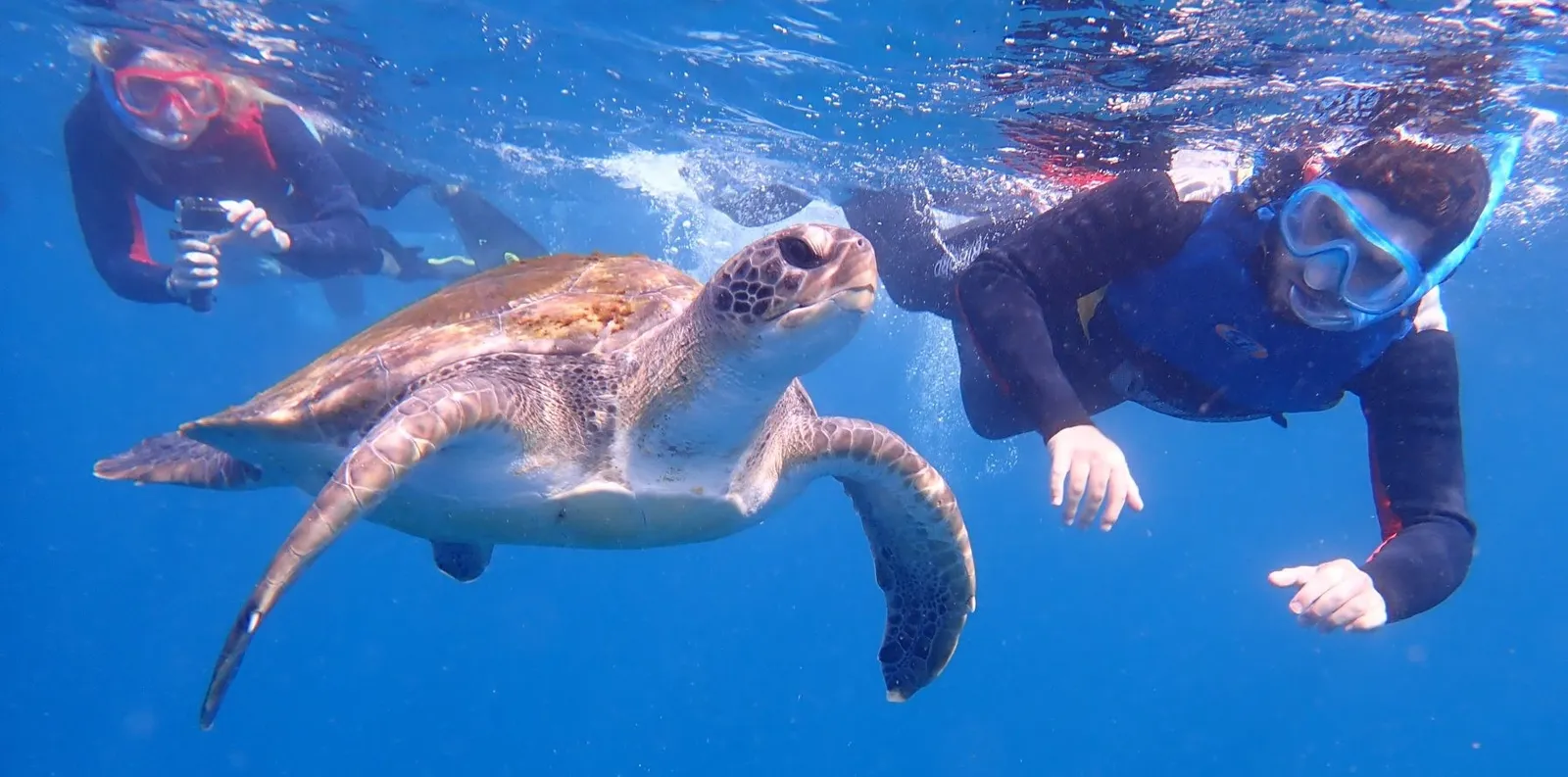 Pack kayak y bautizo de buceo