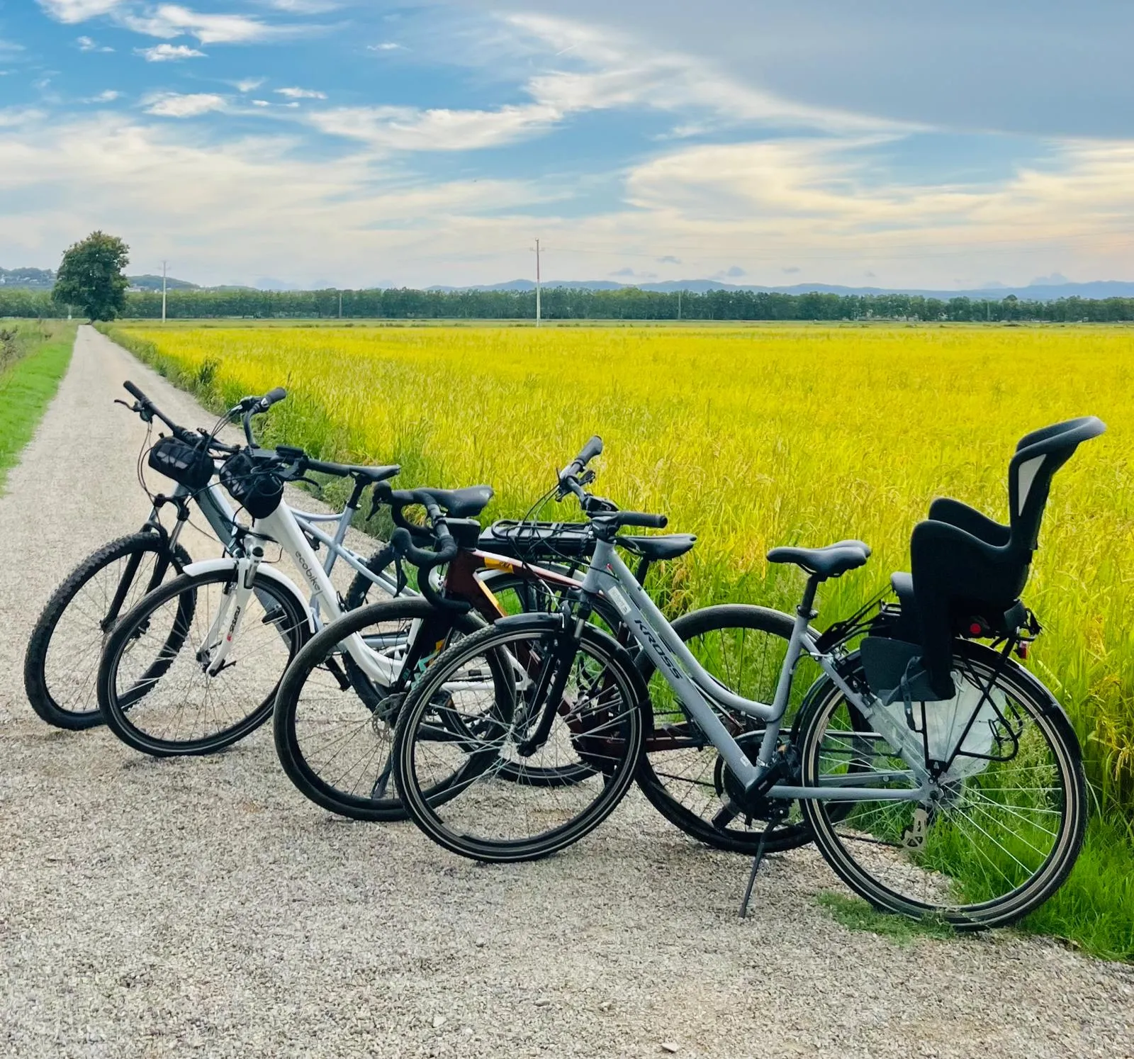 Itinéraire autoguidé à vélo entre marais, plage et rizières de Pals