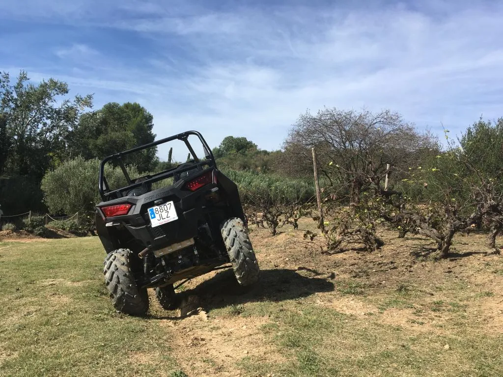 Ruta en buggy por el Penedès