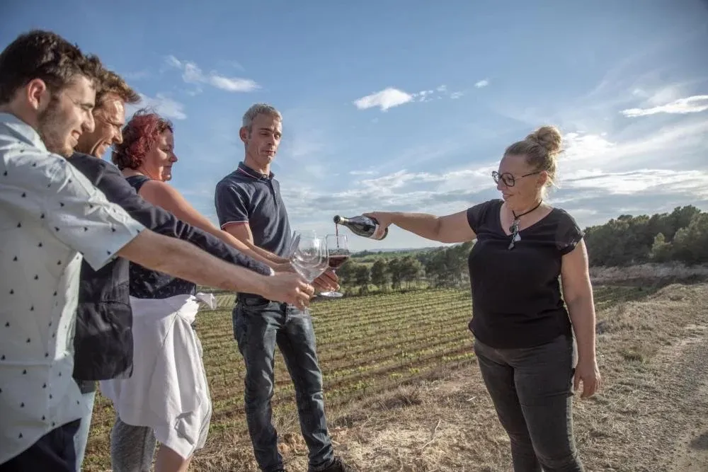 Sabor y paisaje: paseo por las viñas y cata de 4 vinos en la Terra Alta