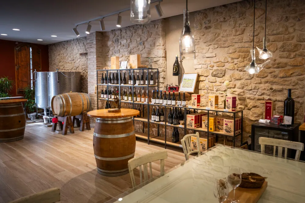 Cata libre de tres vinos en una bodega familiar de Gandesa