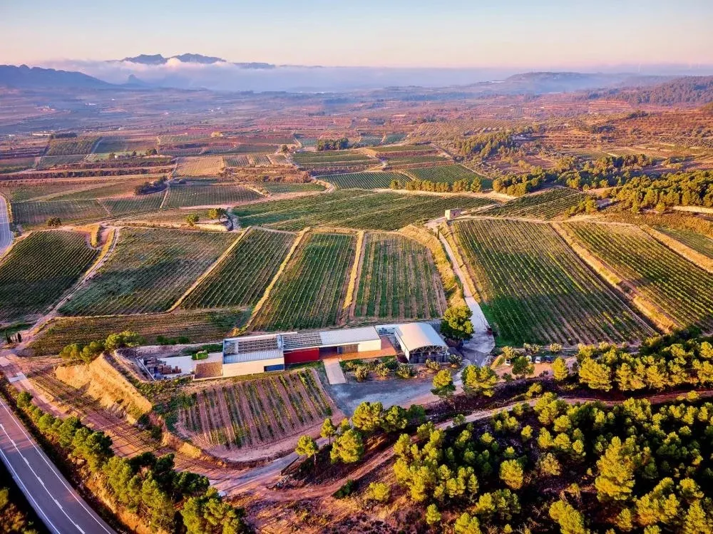 Terroirs excepcionales: visita larga por las viñas de una bodega ecológica