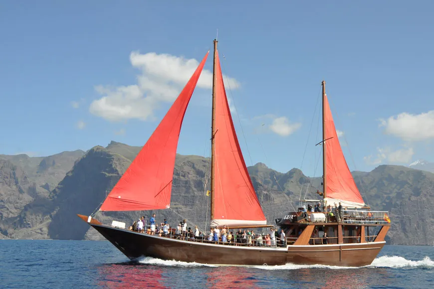 Whales, Los Gigantes cliffs, swim and lunch on a teak sailing ship (5 hours)