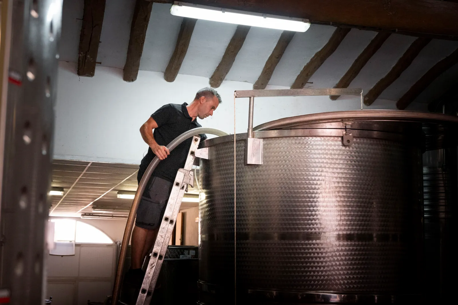 Visita a una pequeña bodega con cata de garnachas blancas en Gandesa