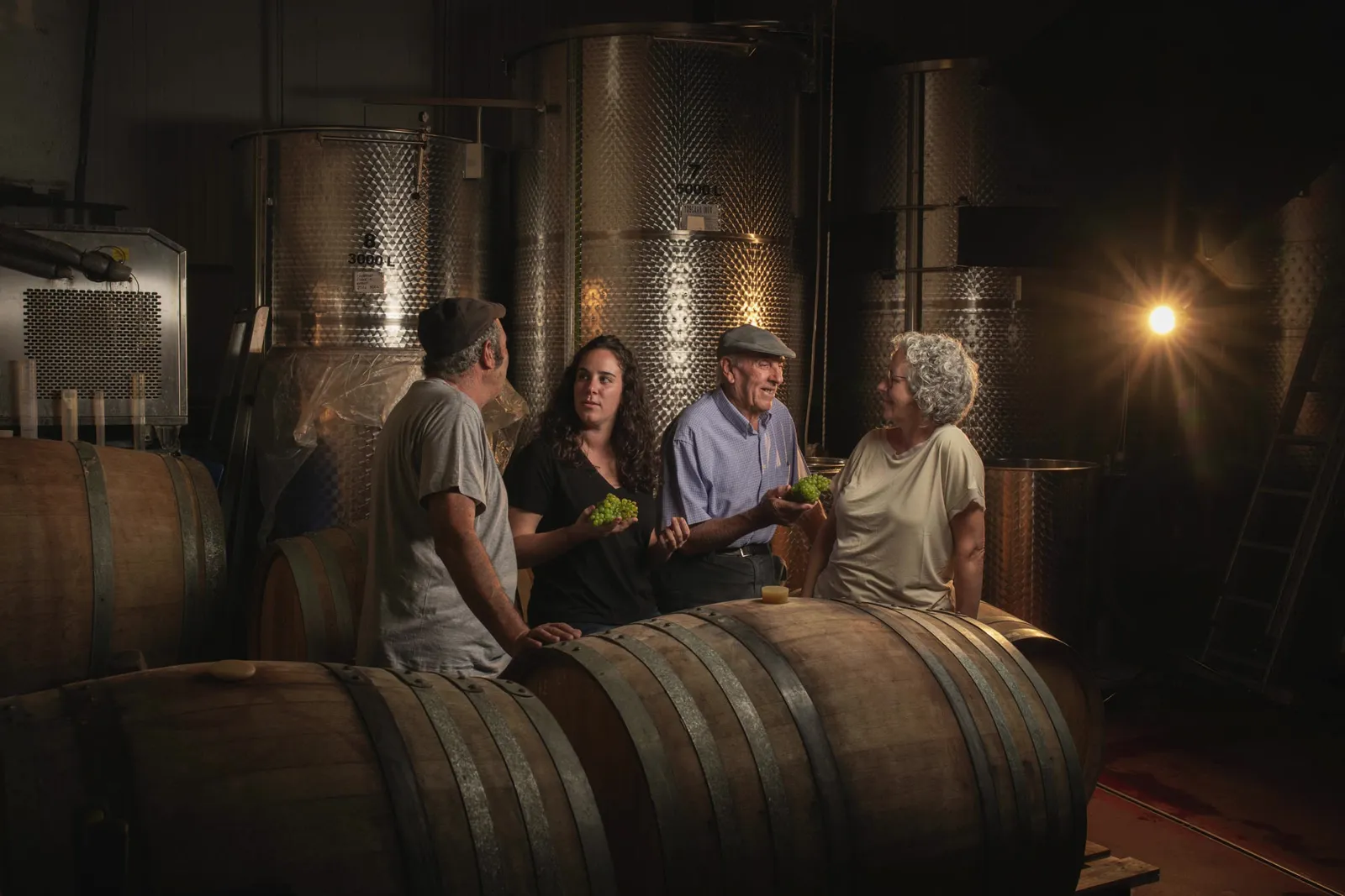 Visita a una cantina familiare, degustazione di 3 vini e colazione alla brace a Fulleda
