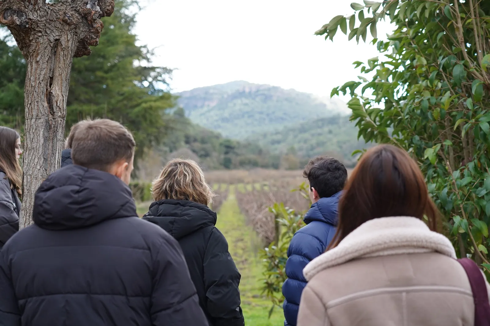 Visita a un celler del Montsant amb passeig per les vinyes i tast de 5 vins