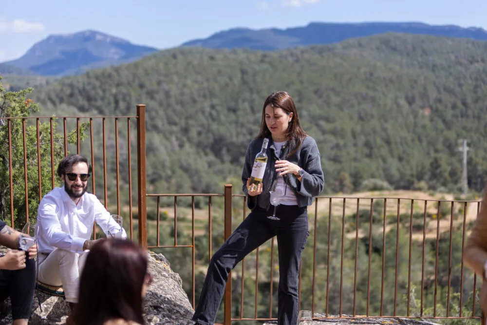 Visita Inmersiva: viñedo, mirador y cata de 5 vinos en el Montsant