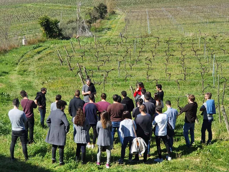 Private Führung durch ein Familienweingut im Penedès mit Verkostung