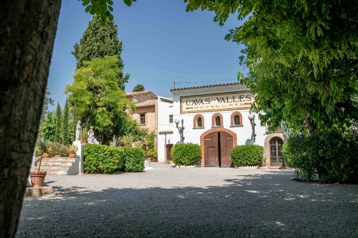 Visita Reserva: cava subterránea y cata de tres cavas